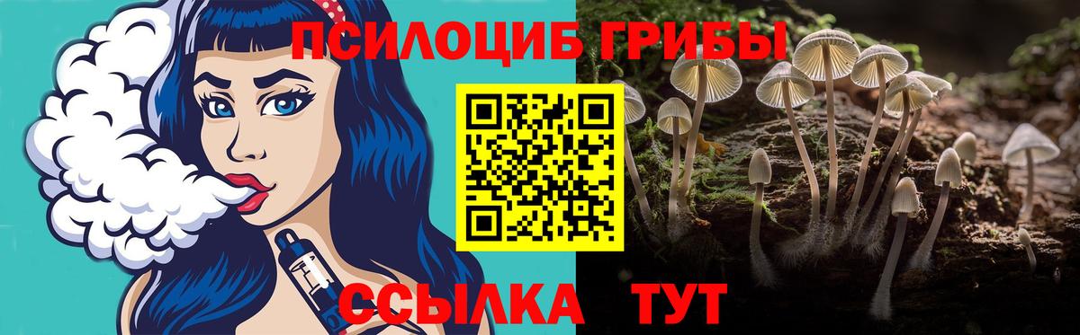 Галлюциногенные грибы прущие грибы  Псилоцибиновые грибы ЛСД  Солнечногорск  Вход с VPN 