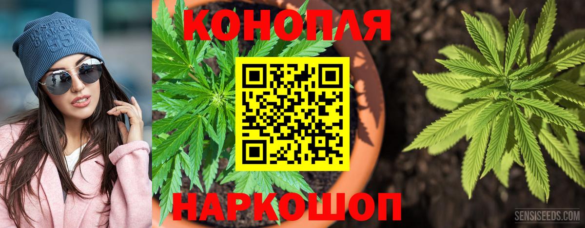 Конопля сатива Солнечногорск